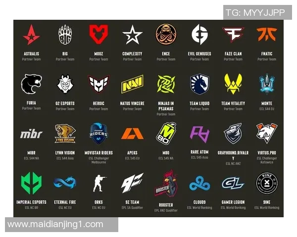 电竞比分CSGO专题深入分析JDG战队团队配合与战术执行