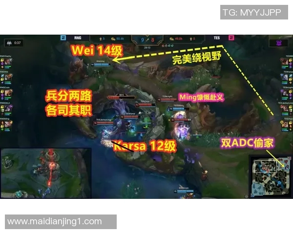 赛后复盘TES与WE对决的节奏变化与战术分析