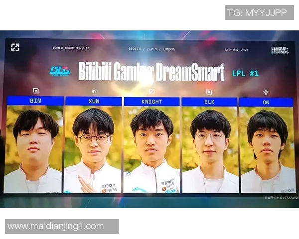 深入探讨英雄联盟BLG战队成员的个人能力与表现分析