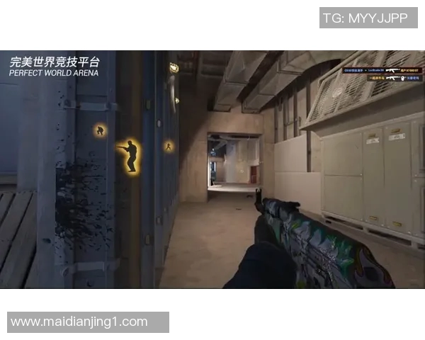 电竞新闻王敏深度解析CSGO游戏技巧与策略分享，助你提升竞技水平